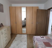 Wardrobe with a mirror in a 2-room apartment, floor with wood decor, carpet.