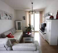 Living room in a two-room apartment with a sofa and a wooden decor floor.