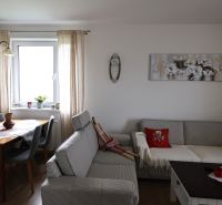 Living room of a two-room apartment with a sofa, table, decorations, and a floor with a wooden design.