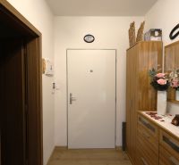 Entrance hallway in a 2-room apartment with a wood-patterned floor and a decorative mirror.