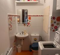 A bathroom in a studio apartment with a toilet, sink, and washing machine, walls with a floral motif.