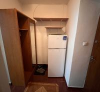 Studio apartment with a refrigerator, shoe cabinet, and mirror; floor with wooden decor.