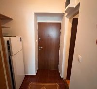 Entrance to a studio apartment with a refrigerator and a wooden decor floor.