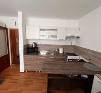 A kitchenette in a studio apartment with a wood-patterned floor and appliances.