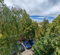 Greenery and parked cars on M.M. Hodža Street in Šaľa near the 2-room apartment.