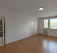 A spacious room in a 2-room apartment with a wooden decor floor and a large window.