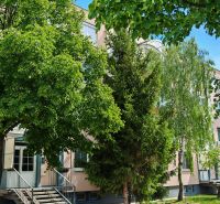 An apartment building on M.M. Hodža Street in Šaľa surrounded by greenery and trees.