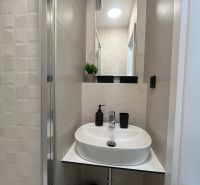 Bathroom in a studio apartment with a sink, mirror, and decoration on the shelf.