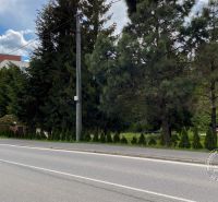 The road on Levočská Street in Stará Ľubovňa with a family house and greenery.