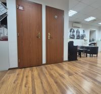 Commercial premises with a wooden decor floor, doors, and wall decoration.