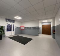 Interior with light flooring, a potted plant, and fire safety features. Warehouses and halls.