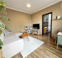 Living room in a 3-room apartment with a wooden decor floor and a comfortable sofa.