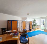 Interior of a one-bedroom apartment with a table, chairs, and a houseplant, floor with wooden decor.