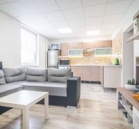 A comfortable living room with a kitchen and a wooden decor floor in a 2-room apartment.