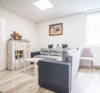 Living room in a 2-room apartment with a gray sofa and wood-patterned flooring.