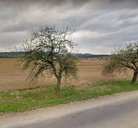 The path runs alongside trees and extensive residential plots in the village of Svinná.