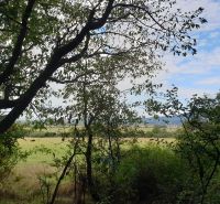 Agricultural and forest lands in Budmerice include trees and open fields under a blue sky.