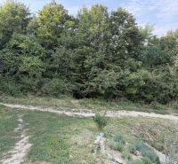 IMG_2591.JPEG