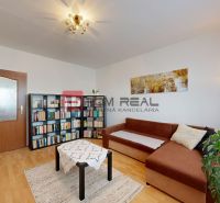 Living room with a brown sofa, wooden decor flooring, and a bookshelf in a three-room apartment.
