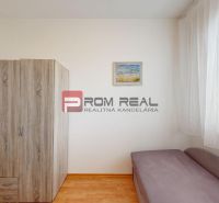 Wardrobe and sofa with wooden decor flooring in a 3-room apartment.