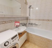 Bathroom with a washing machine, sink, and bathtub with a shower in a 3-room apartment.