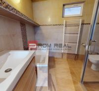 Bathroom in a family house with a sink, shower, and toilet.