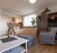 Living room with kitchen, furniture, wood-patterned flooring, and a plant in a two-room apartment.
