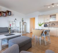 Living room in a two-room apartment with a kitchen, wooden decor flooring, gray sofa.
