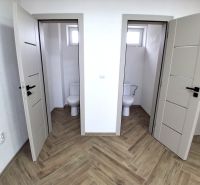 Double toilets in commercial premises with wood-patterned flooring.
