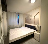 Bedroom in a 2-room apartment with a large bed and a wall picture of a bridge.