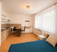Bright studio apartment with a kitchen and a bed, floor with wooden decor.