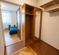 Studio apartment with wood-patterned flooring, built-in wardrobe, and a bed in the background.