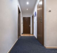 A hallway in a 3-room apartment with carpet and doors with a wooden decor.