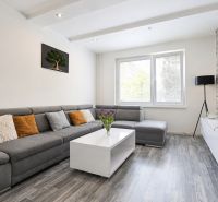 Living room with a comfortable sofa, wooden decor flooring, and a decorative wall in a 3-room apartment.