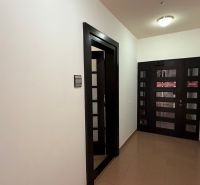 A narrow corridor in office spaces with dark doors and a wood-patterned floor.