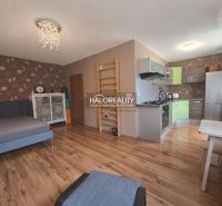 Living room of a two-room apartment with a wood-patterned floor and a kitchenette.