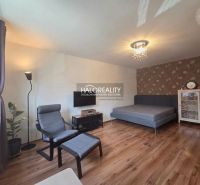 Living room in a two-room apartment with a wooden decor floor, an armchair, and a bed.