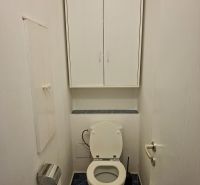 A toilet in a 3-room apartment with blue tiles and white cabinet storage.