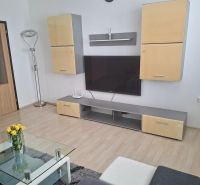 Living room with a TV, wooden decor flooring, a sofa, and a coffee table in a 3-room apartment.