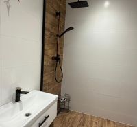 A bathroom in a 3-room apartment with a wooden decor floor and a shower corner.
