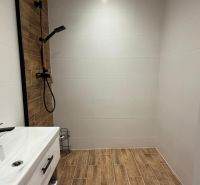 A modern bathroom in a 3-room apartment with a wooden decor floor and a shower corner.