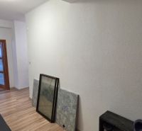A narrow corridor with a sofa, a wooden decor floor, and open doors in a 2-room apartment.
