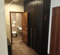 The hallway of a recreational apartment with a dark wardrobe and entrance to the bathroom.