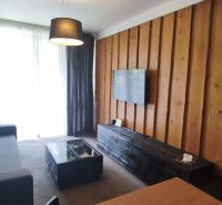 Living room in a holiday apartment with a sofa, wooden wall, and television.