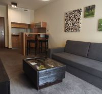 Interior of a holiday apartment with a kitchen, couch, and wall decorations, floor with wooden decor.