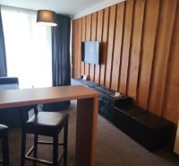 Living room of a holiday apartment with wooden paneling and wood-patterned flooring.