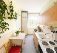 A kitchen in a 3-room apartment with a dining area and houseplants.