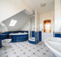 A bathroom in a family house with a bathtub, a shower corner, and classic tiles on the walls.