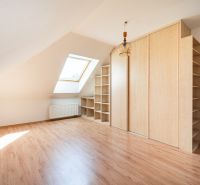 Attic room with wood-decor flooring, built-in cabinets, and a skylight.