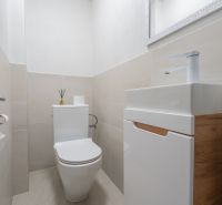 Bathroom with toilet and sink in a family house with wooden decor.